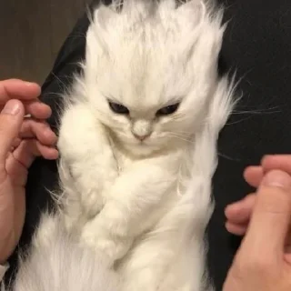😒