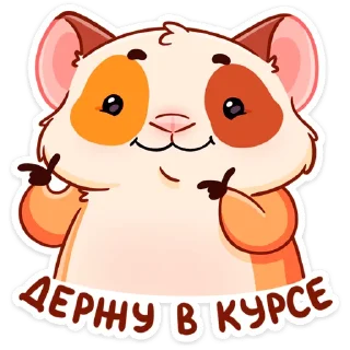 😉