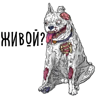 ☠️