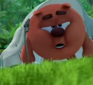 🐻