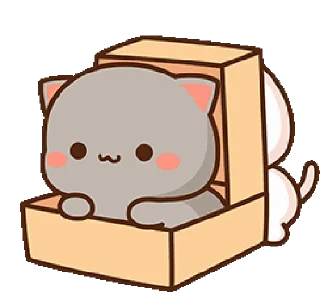 😼