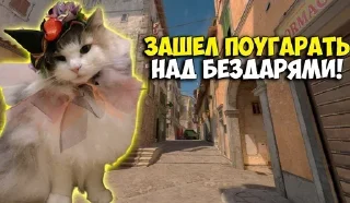 🤣
