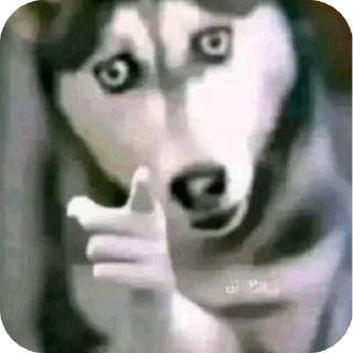 🖼