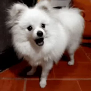 😁