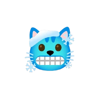 🐱