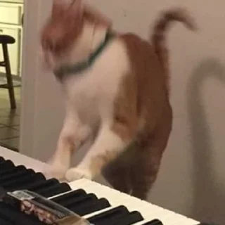 🎹