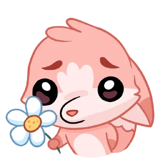 🌼