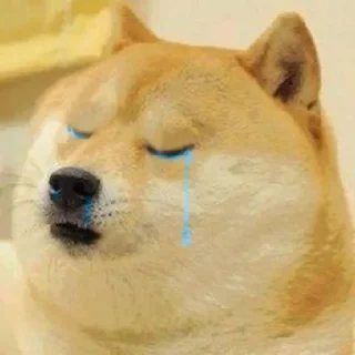 😢