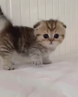 🙂