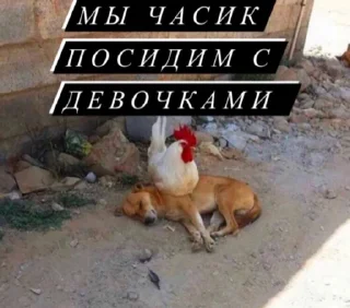 🍻
