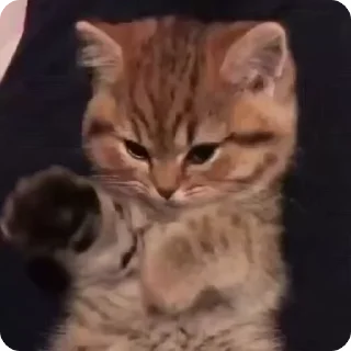 🤗