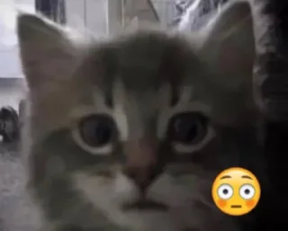 😳