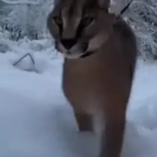 🙂
