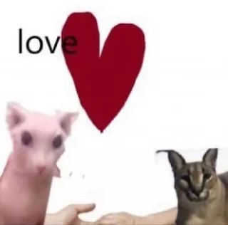 ♥️