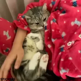 🤗