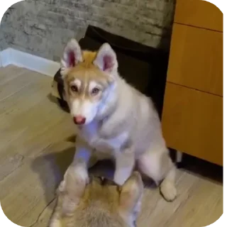👍
