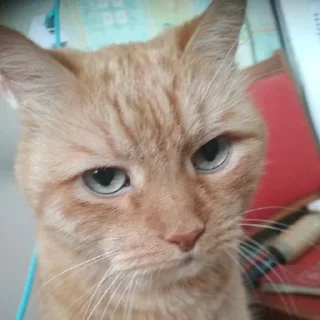 😒