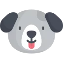 🐶