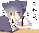 💻
