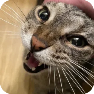😡