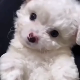 🤨