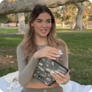 🐢