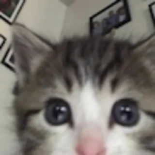 😳
