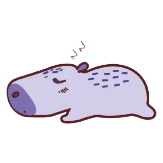😴