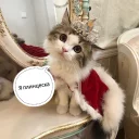 👸