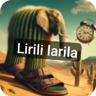🖼