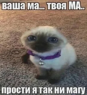 🤰