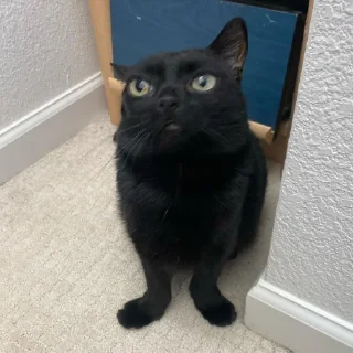 😠