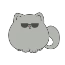 😎