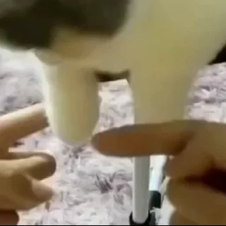 🙄