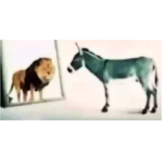 🦁