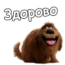 😄