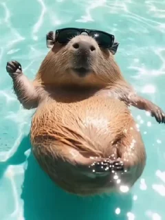🌟