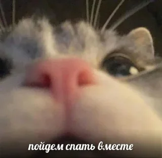 🥱