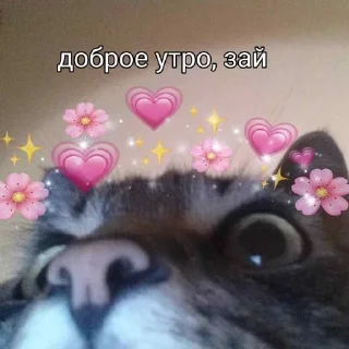 😴