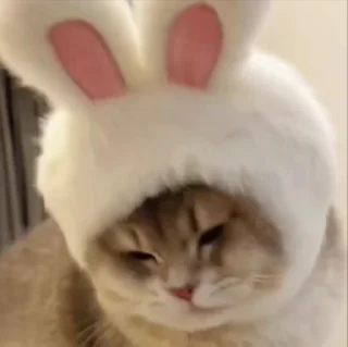 🥰