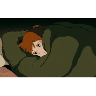 🛌