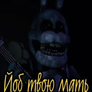 🐰