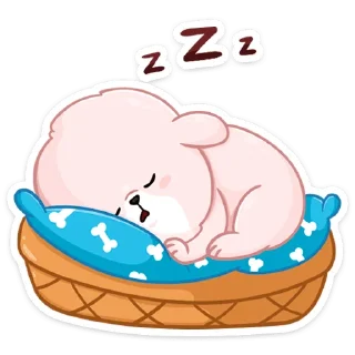 😴