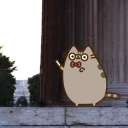 🐱