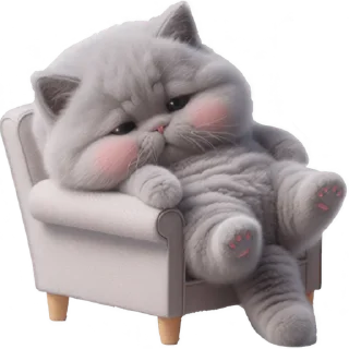 😴