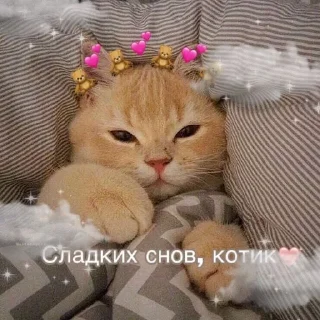 😴