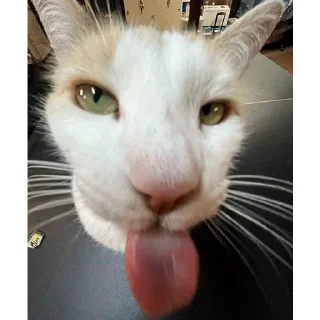 😝