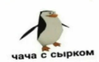 🐧