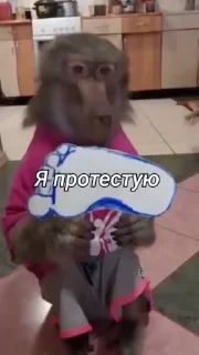 🙈