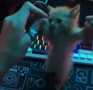 💃